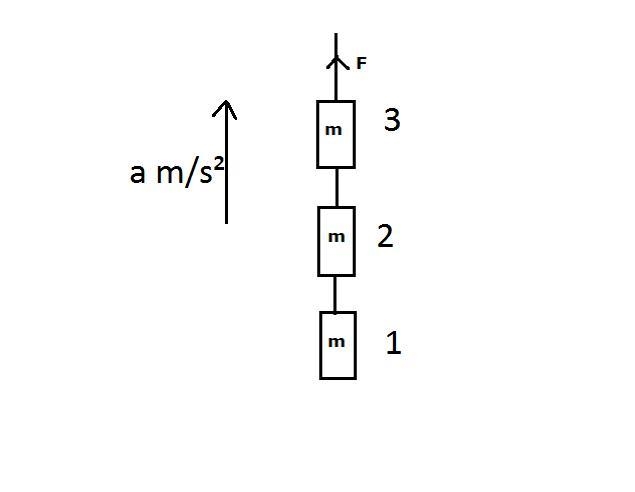 A student tries to raise a chain consisting of three identical links. Each link has-example-1