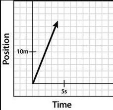 Construct a position-time graph that shows the forward progress of Sunny The Dog in-example-1