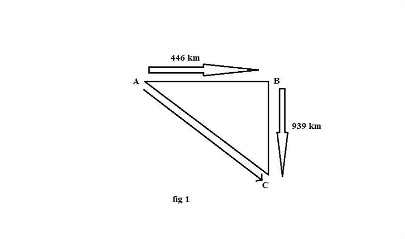 A plane flies 446 km east from city A to city B in 43.0 min and then 939 km south-example-1