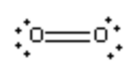 Molecular orbital theory correctly predicts paramagnetism of oxygen gas. true or false-example-1