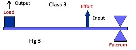 Pertaining to simple machines and levers what changes when the fulcrum position is-example-3