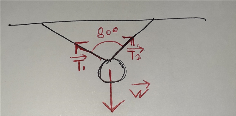 Encuentra en forma gráfica el peso de un objeto que se encuentra suspendido del techo-example-1