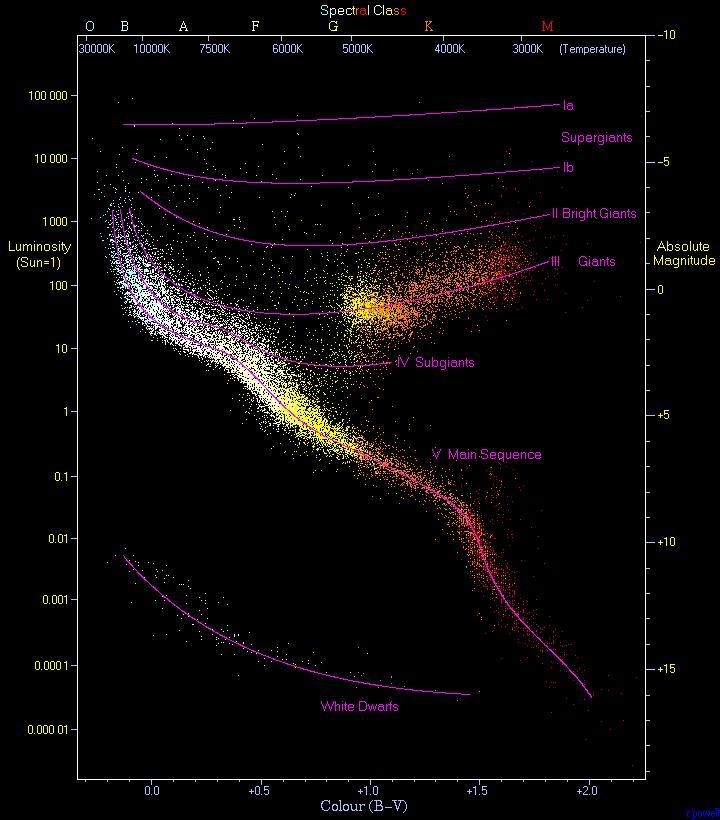 Which of these stars has the hottest core? (a) a white main-sequence star (b) an orange-example-1