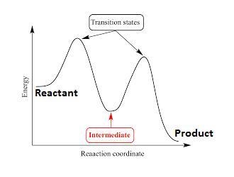 In a reaction progress curve, which point on the curve corresponds to an intermediate-example-1