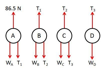 How do you do this question? Please include free body diagrams and clear explanation-example-1