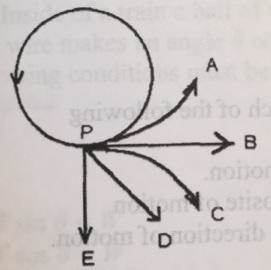 A girl attaches a rock to a string, which she then swings counter-clockwise in a horizontal-example-1