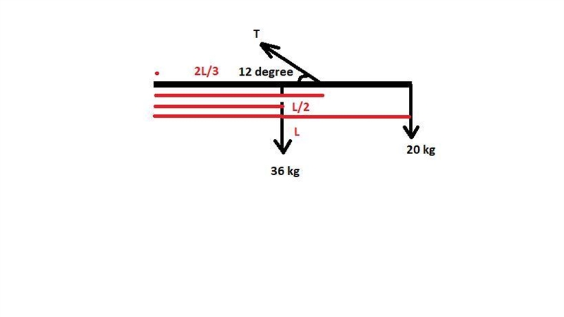 A person bends over to grab a 20 kg object. The back muscle responsible for supporting-example-1