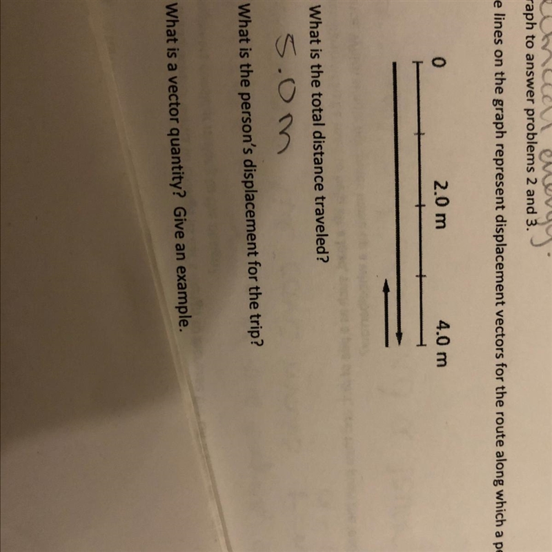 What is the person’s displacement for the trip? what is a vector quantity? give an-example-1