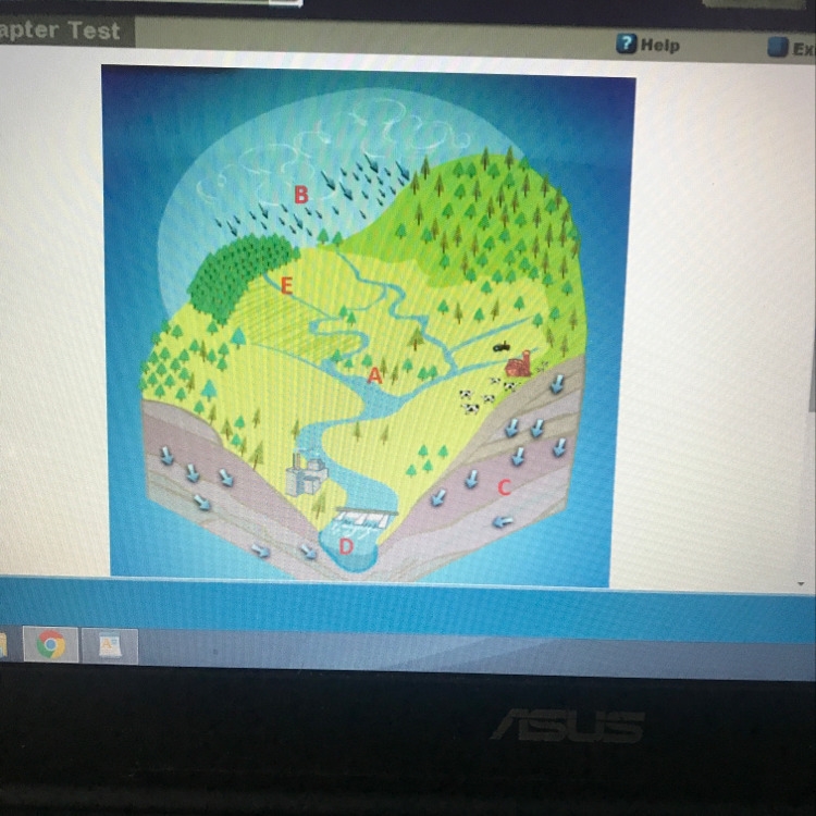 Aquifers can be found in which location on the diagram above? A. A B. B C. C D. D-example-1