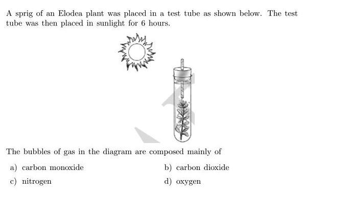 Please help!!! This Is for science-example-1