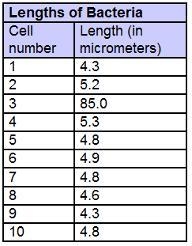 While studying bacterial cells, scientists measure the lengths of the cells in one-example-1