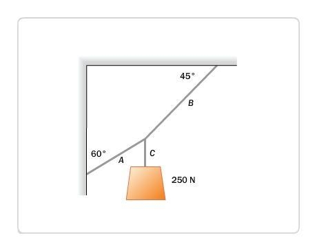 What is the tension in cord A in this diagram? It would help if you answered in Newtons-example-1