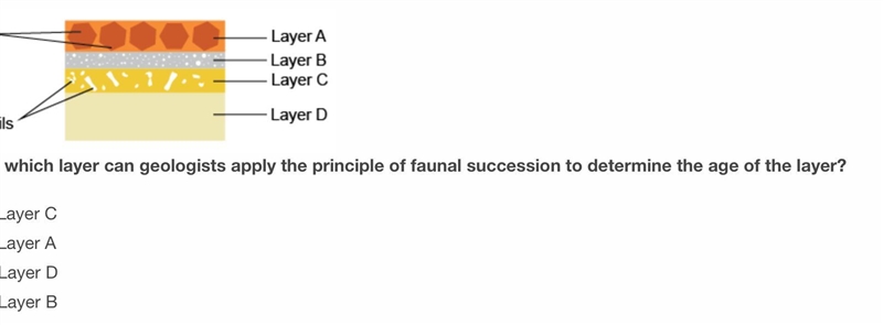 To which layer can geologists apply the principle of faunal succession to determine-example-1