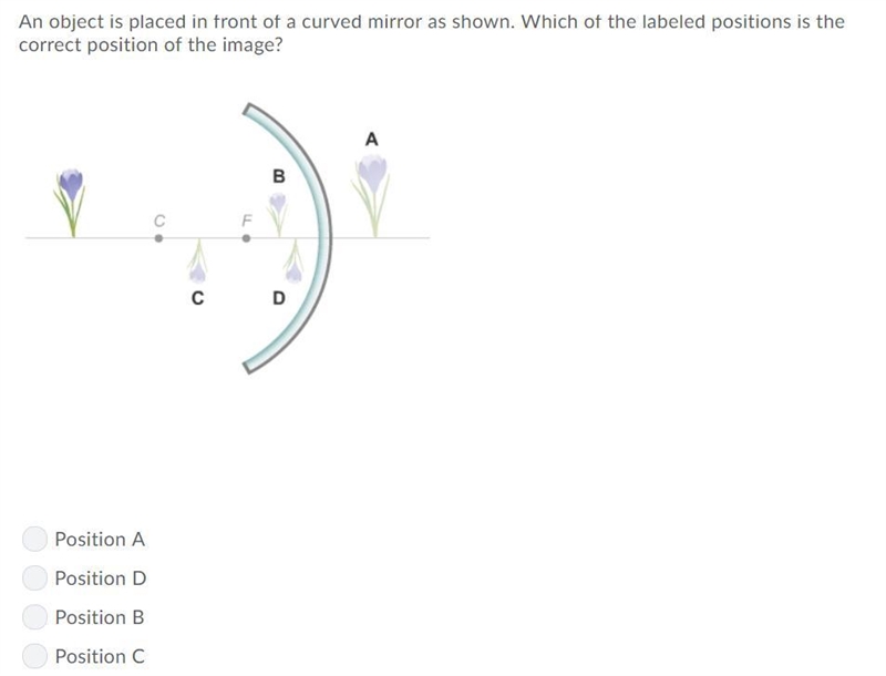 Question In picture PLEASE HELP NOW-example-1