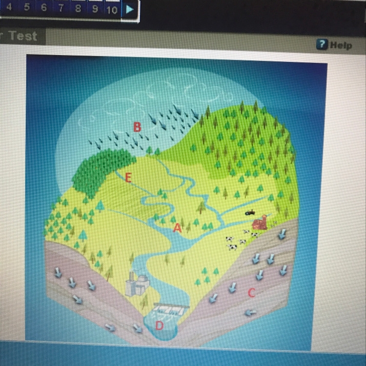 A watershed is made up of the combination of which areas on the diagram above? A. A-example-1