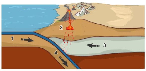 Study the image. At which point is subduction occurring? 1 2 3 4-example-1