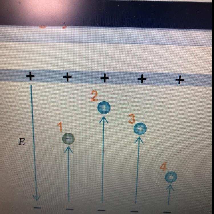 Rank the work done on the charged particles from highest to lowest-example-1