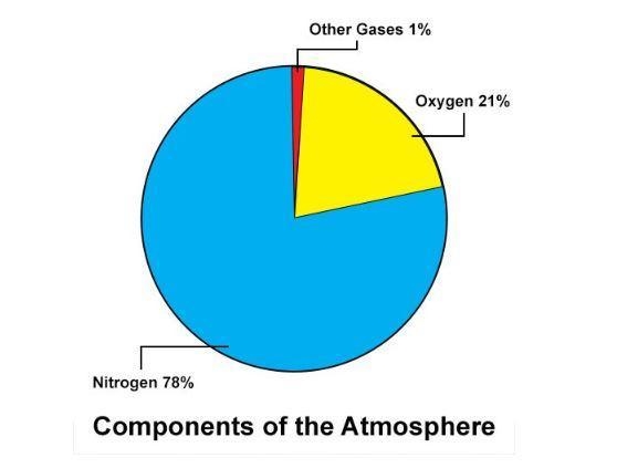 The table indicates that nitrogen and oxygen are the main components of the atmosphere-example-1