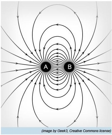 Which statement is the correct representation of these electric field lines? A. Both-example-1