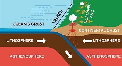 What can you conclude about the oceanic crust in the image?  A. It's denser than the-example-1