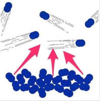 Consider the phase change taking place in the picture. You could use ALL BUT ONE statement-example-1