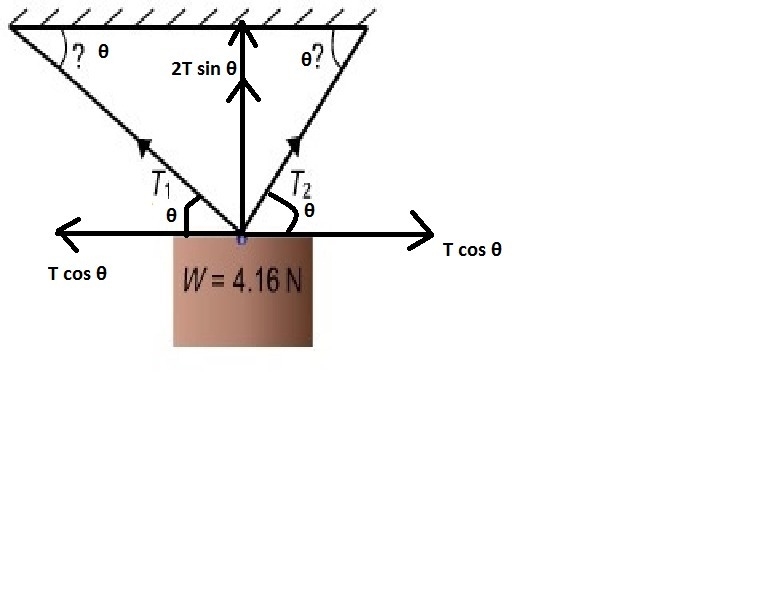 A photo frame weighing 4.16 newtons is hanging by a wire making an angle with the-example-1