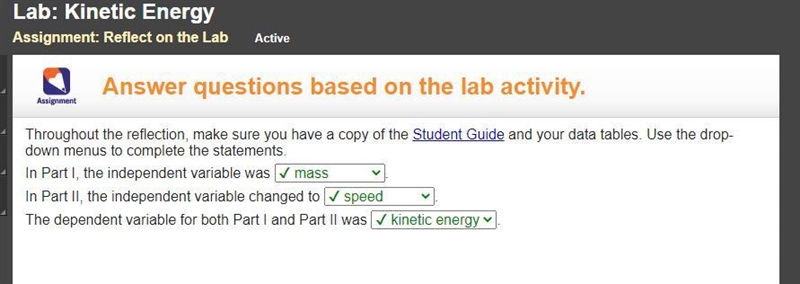 Throughout the reflection, make sure you have a copy of the Student Guide and your-example-1