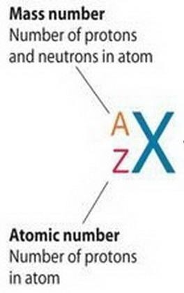 Siven an element's atomic number and mass number, how can you tell the number of protons-example-1