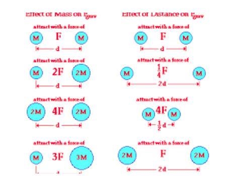 What is the relationship between force of gravity and mass-example-1