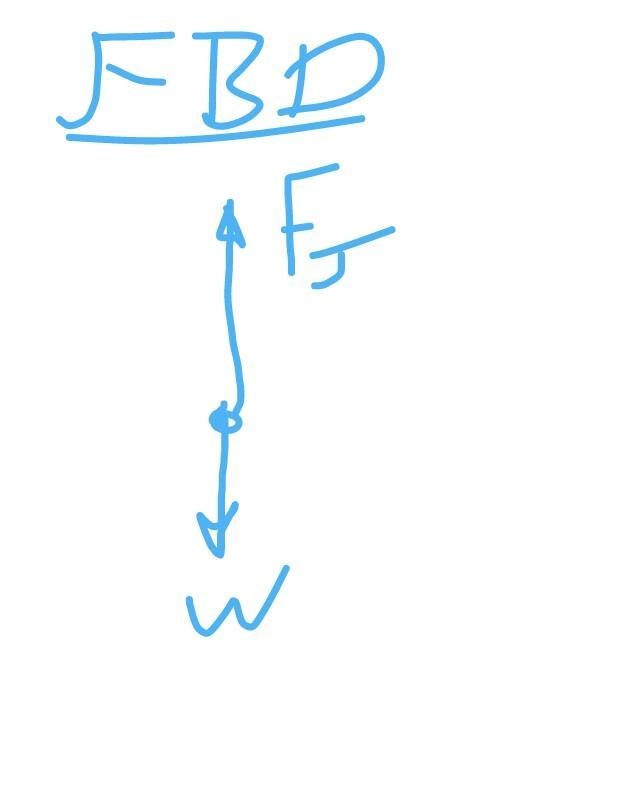 A 15 kg kangaroo jumps with an upward acceleration of 3 m/s2 by pushing hard off the-example-1