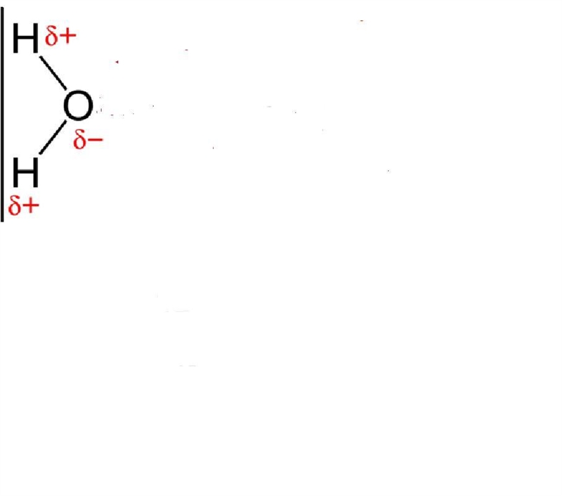 What is waters characteristics shape due to? single covalent bonding polar covalent-example-1