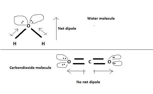 H20 consists of polar molecules. CO2 consist of no polar molecules. How do chemist-example-1