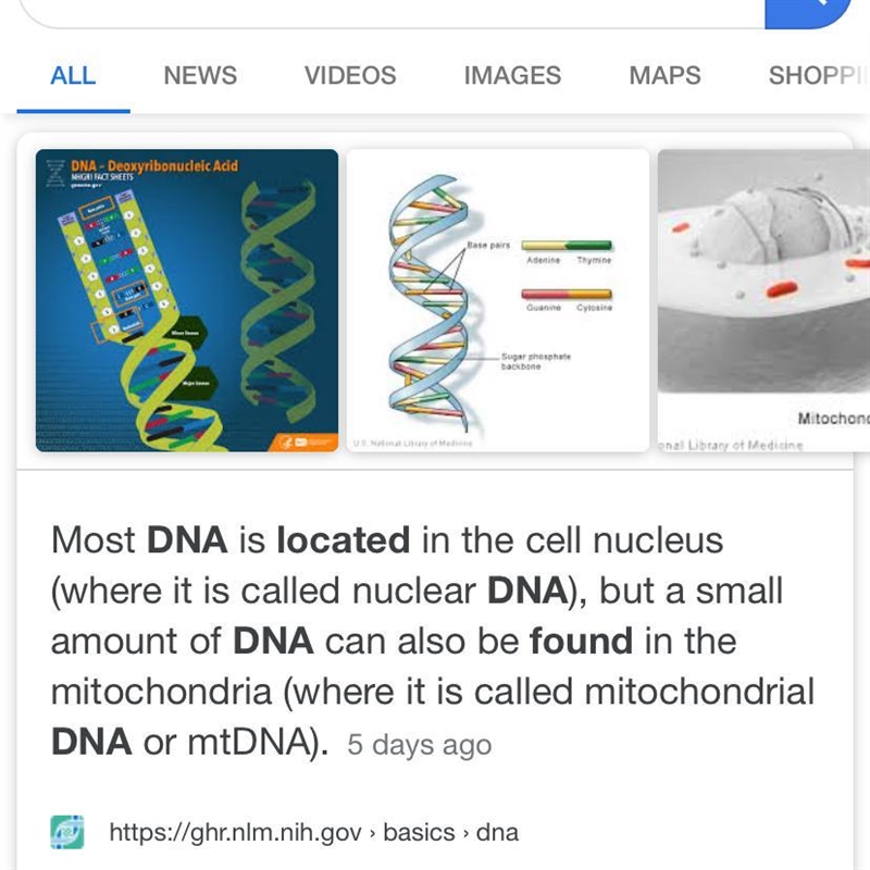 WHAT ARE THE FUNCTION OF DNA? WHERE IS IT FOUND-example-1