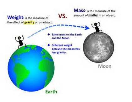 This is worth 15 points! What would happen to the mass of your items as the acceleration-example-1