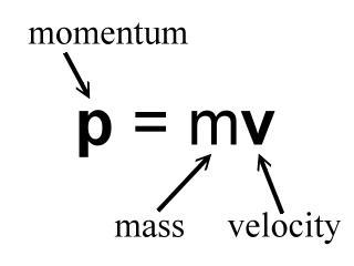 What type of relationship exists between momentum and mass-example-1