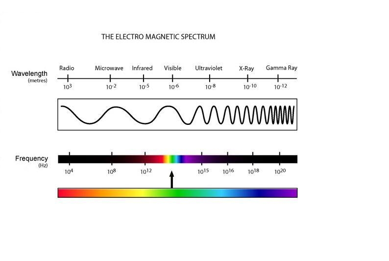 What do radio waves and microwaves have in common? Both are at the side of the spectrum-example-1