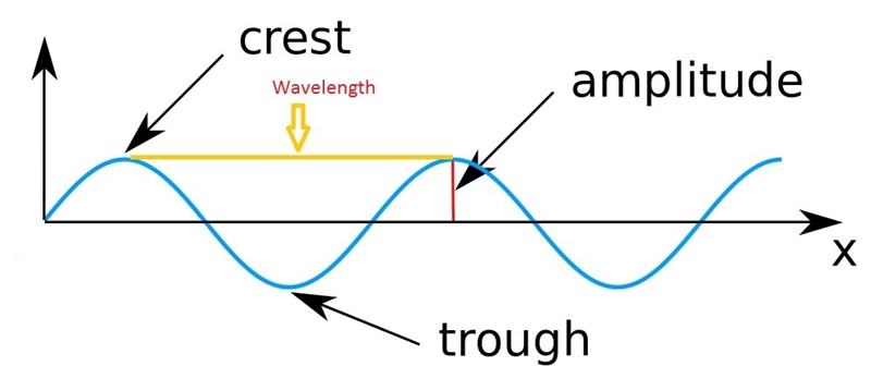 Which correctly identifies the parts of a transverse wave? A: crest B: amplitude C-example-1