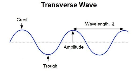 The height of a transverse wave from the midpoint to the crest or trough is the .-example-1