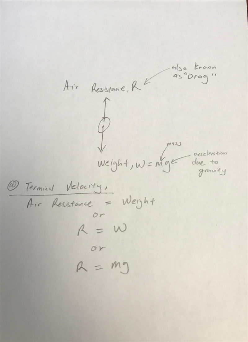 7. The net force on an object at terminal velocity is what? Draw a Free Body Diagram-example-1