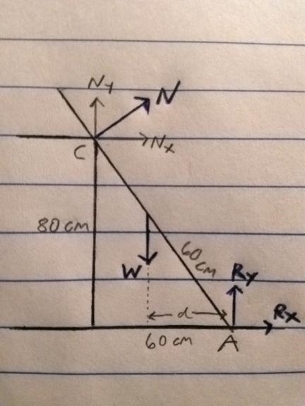 a ladder is resting as shown in the picture. if the mass of ladder is 5 kg and the-example-1