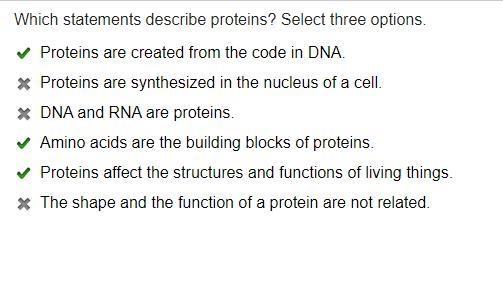 Which statements describe proteins? Check all that apply. A.) Proteins are created-example-1