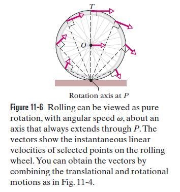 A wheel rolls purely on ground. If the velocity of a point 'P as shown on periphery-example-1