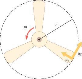 The blades of a ceiling fan have a radius of 0.300 m and are rotating about a fixed-example-1