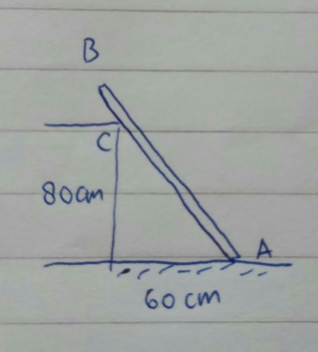 a ladder is resting as shown in the picture. if the mass of ladder is 5 kg and the-example-1