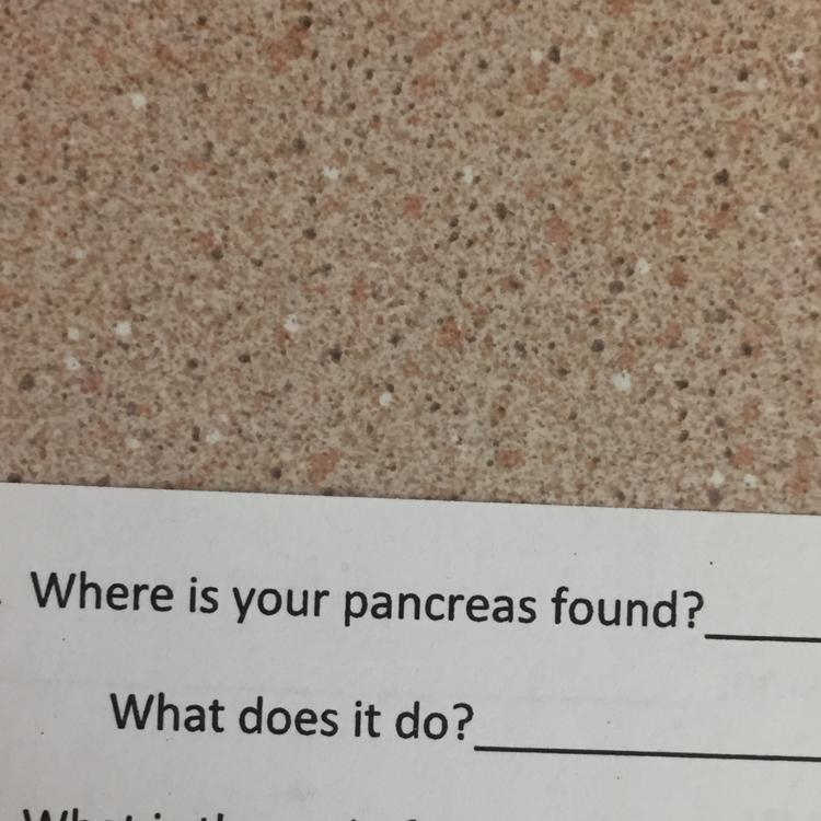 What is your pancreas and what does it do-example-1