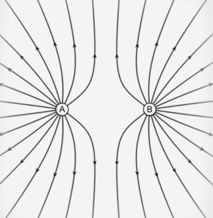 Which statement correctly describes these electric field lines? A. Both sources are-example-1