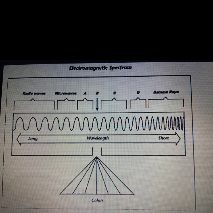 Name the type of wave labeled C-example-1