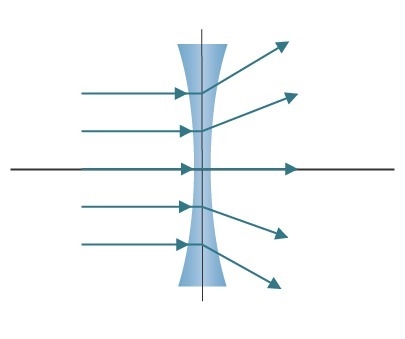 Which lens is shown in the diagram?-example-1