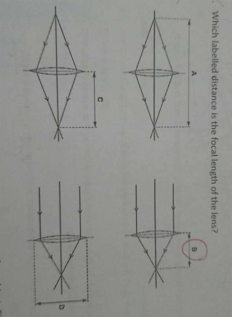 Why answer is B,not C?​-example-1