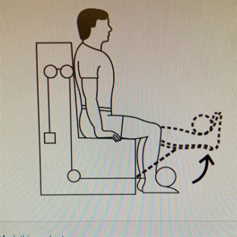 The diagram shows a person using a piece of gym equipment to lift weights. Which BEST-example-1